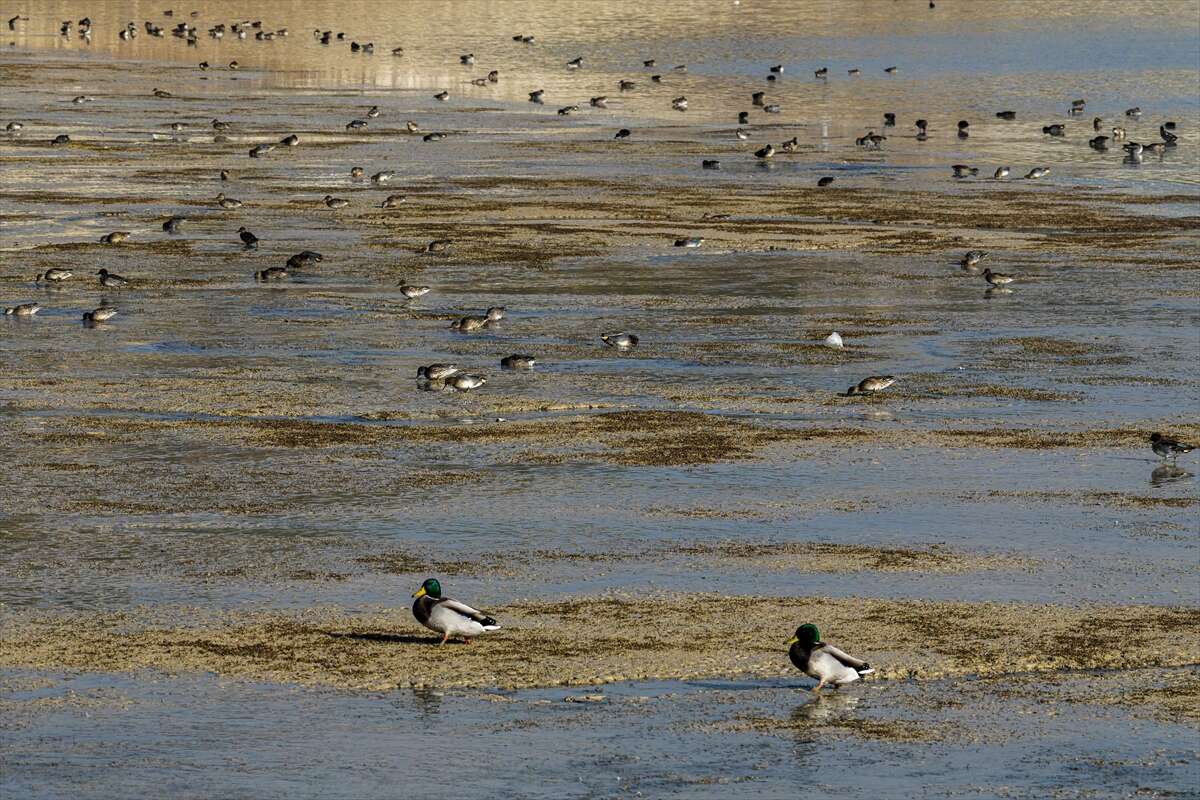 Konya merkezi sulayan kaynakta hareketlilik başladı 8